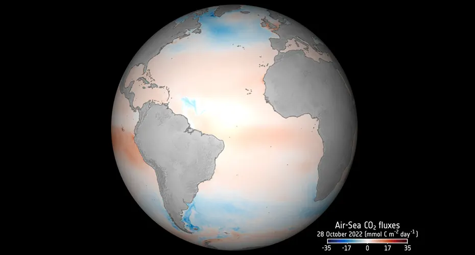 Model showing fluxes in carbon dioxide across the world's oceans